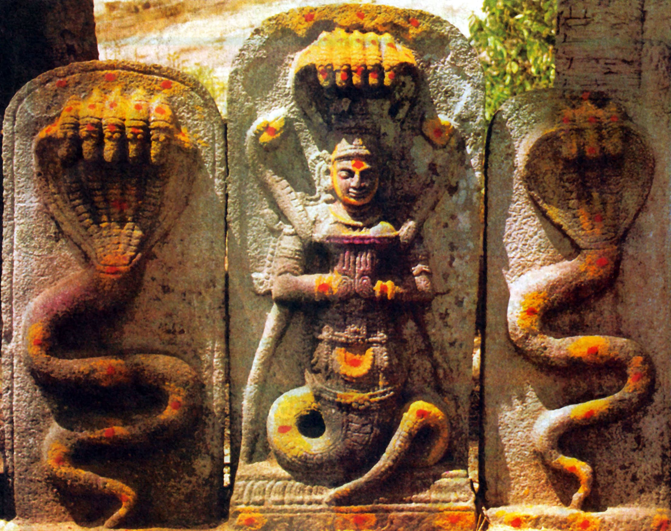 Nag Bali Sarpa Dosha